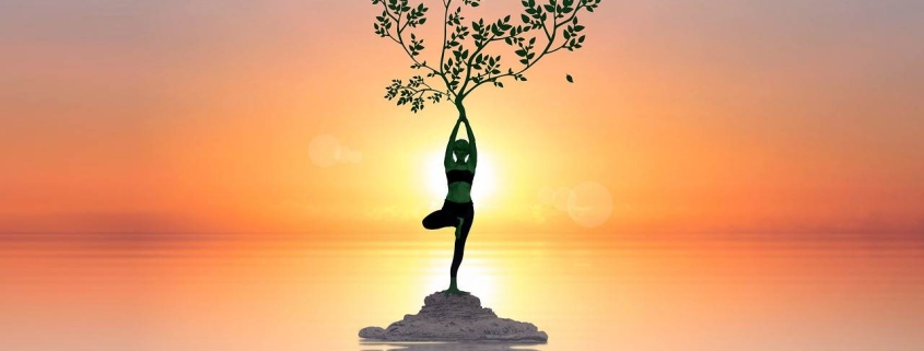 optimist sau pesimist