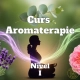 Curs Aromaterapie Nivel I - Acces Integral 27 Curs Aromaterapie Nivel I