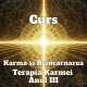 Curs Karma si Reincarnarea Terapia Karmei Anul IV 1