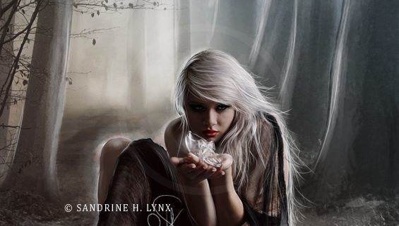 1482779 658597307514666 1966888358 n