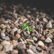 cum sa dezvolti perseverenta